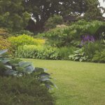 projekt ogrodu, jak zaprojektowac ogród przed domem