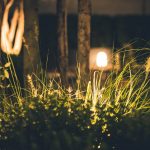 Jak zaprojektować oświetlenie w ogrodzie?